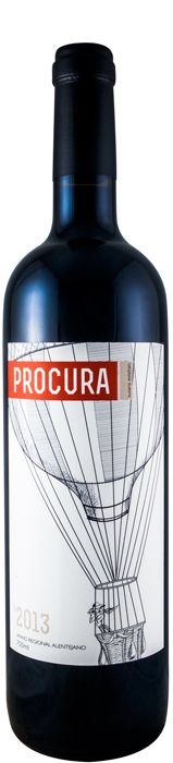 2013 Susana Esteban Procura red
