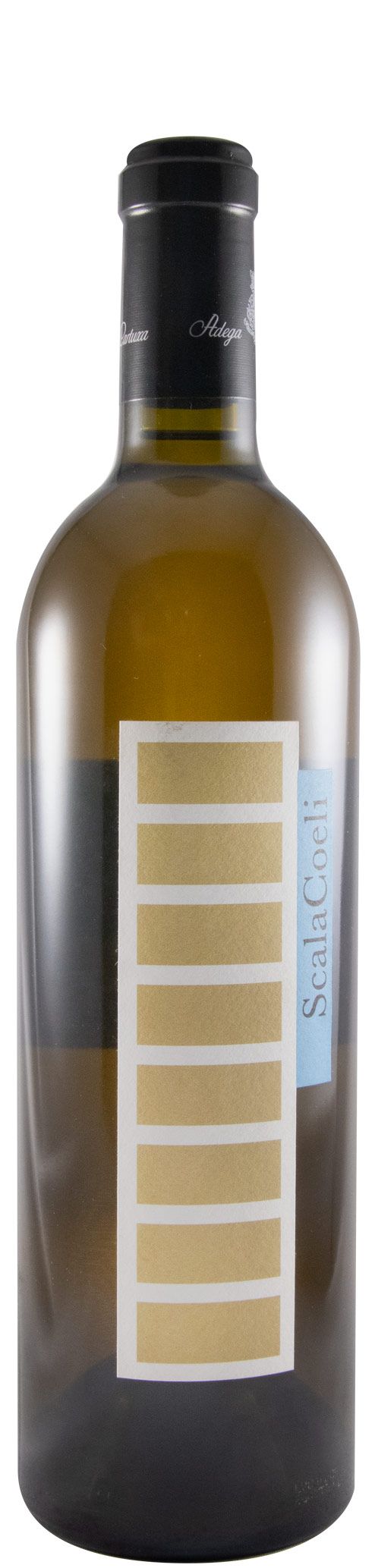 2008 Scala Coeli branco