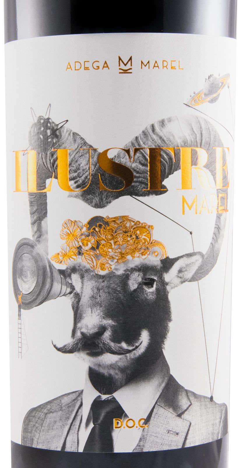 2019 Marel Ilustre red