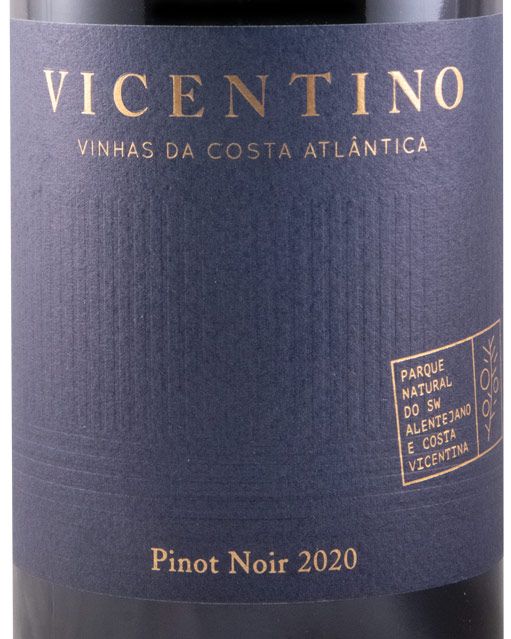 2020 Vicentino Pinot Noir red