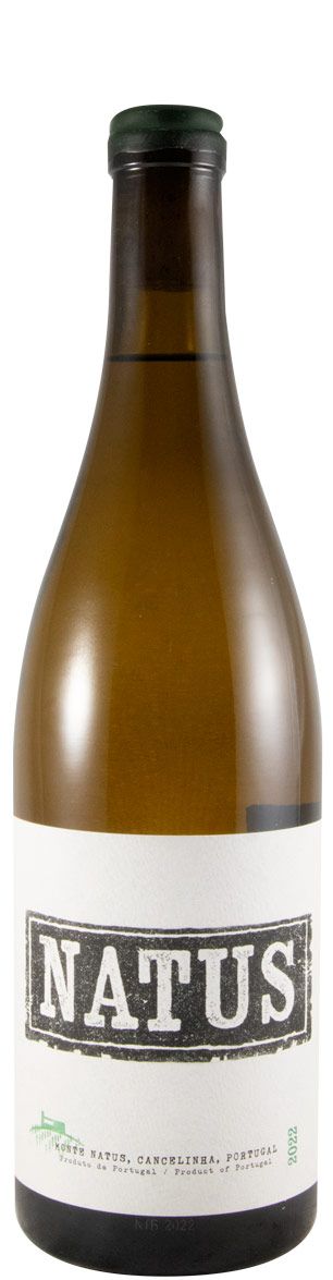 2022 Natus branco