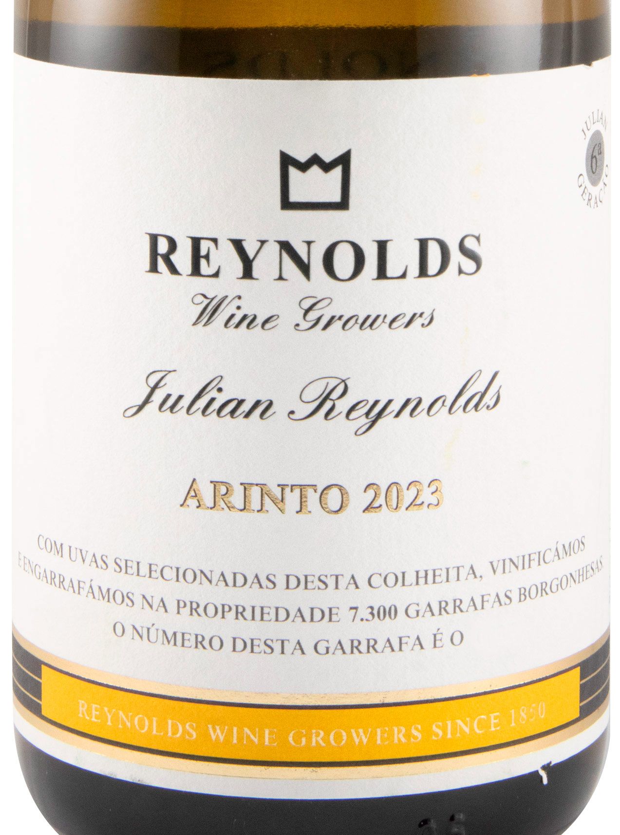 2023 Julian Reynolds Arinto branco