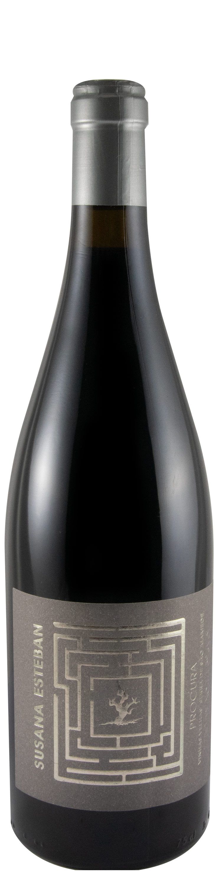 2019 Susana Esteban Procura red
