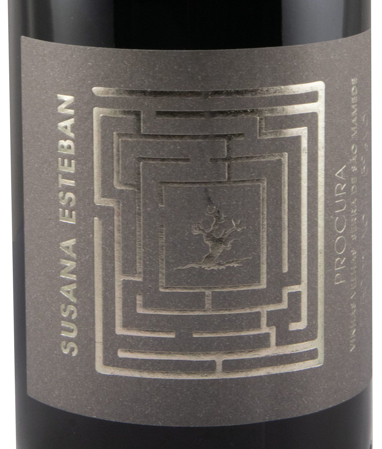 2019 Susana Esteban Procura red