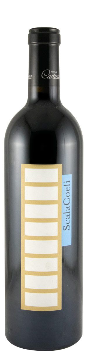 2010 Scala Coeli red