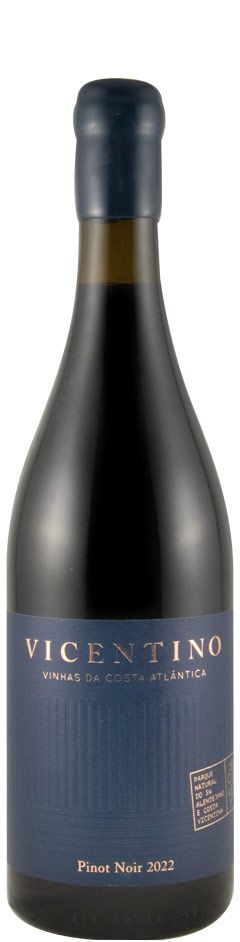 2022 Vicentino Pinot Noir red