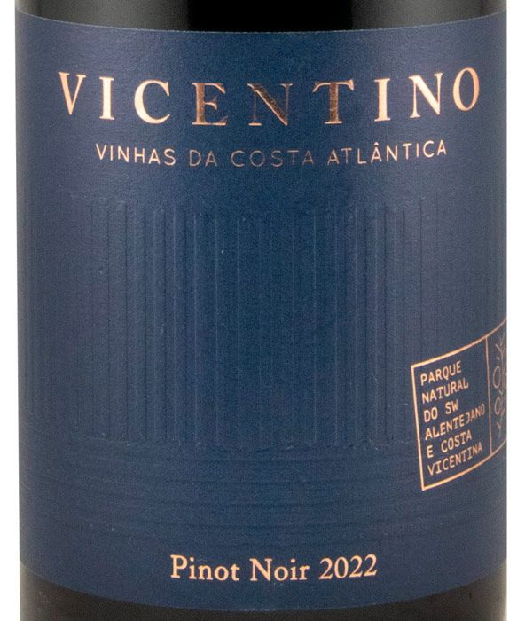 2022 Vicentino Pinot Noir red