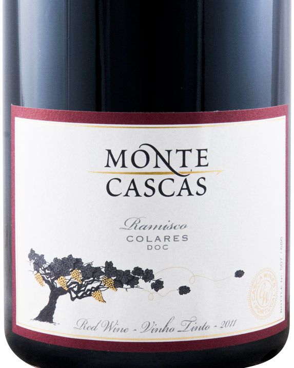 2011 Monte Cascas Ramisco tinto