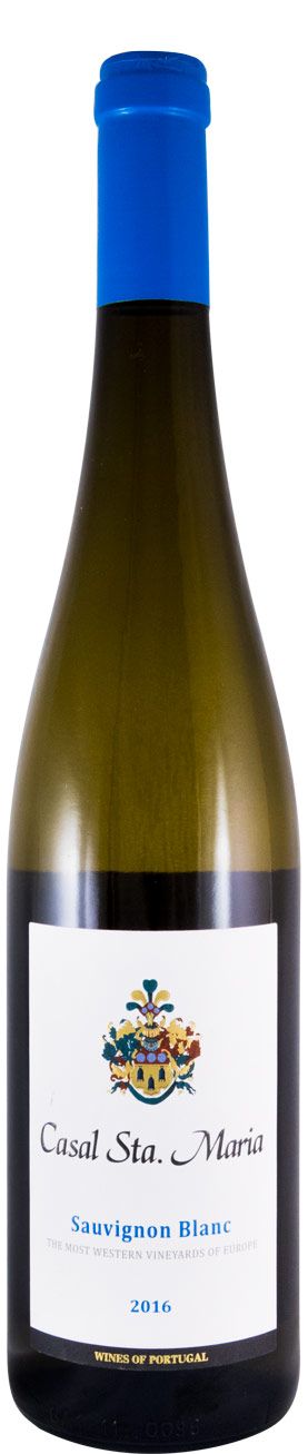 2016 Casal Sta. Maria Sauvignon Blanc branco