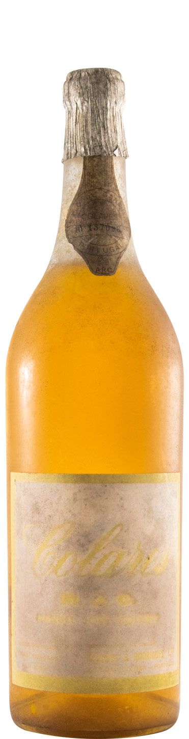 Colares M.J.C. branco