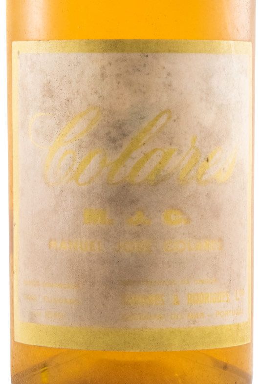 Colares M.J.C. branco