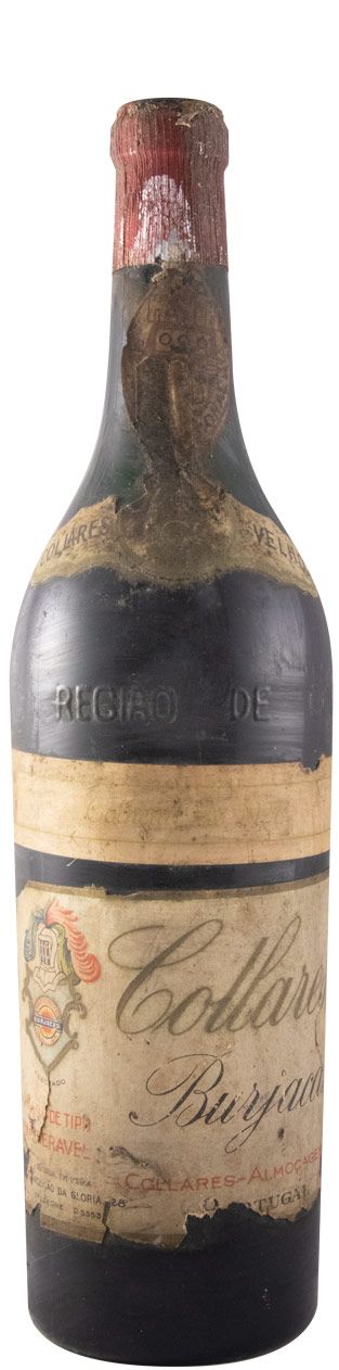 Colares Burjacas red