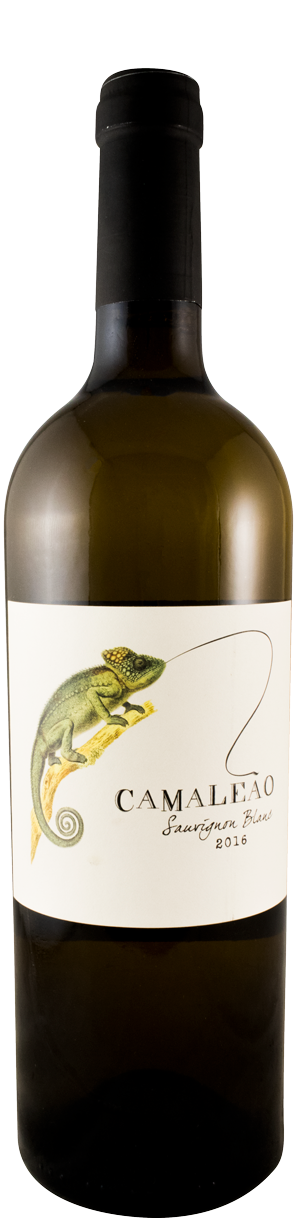 2016 Camaleão Sauvignon Blanc white