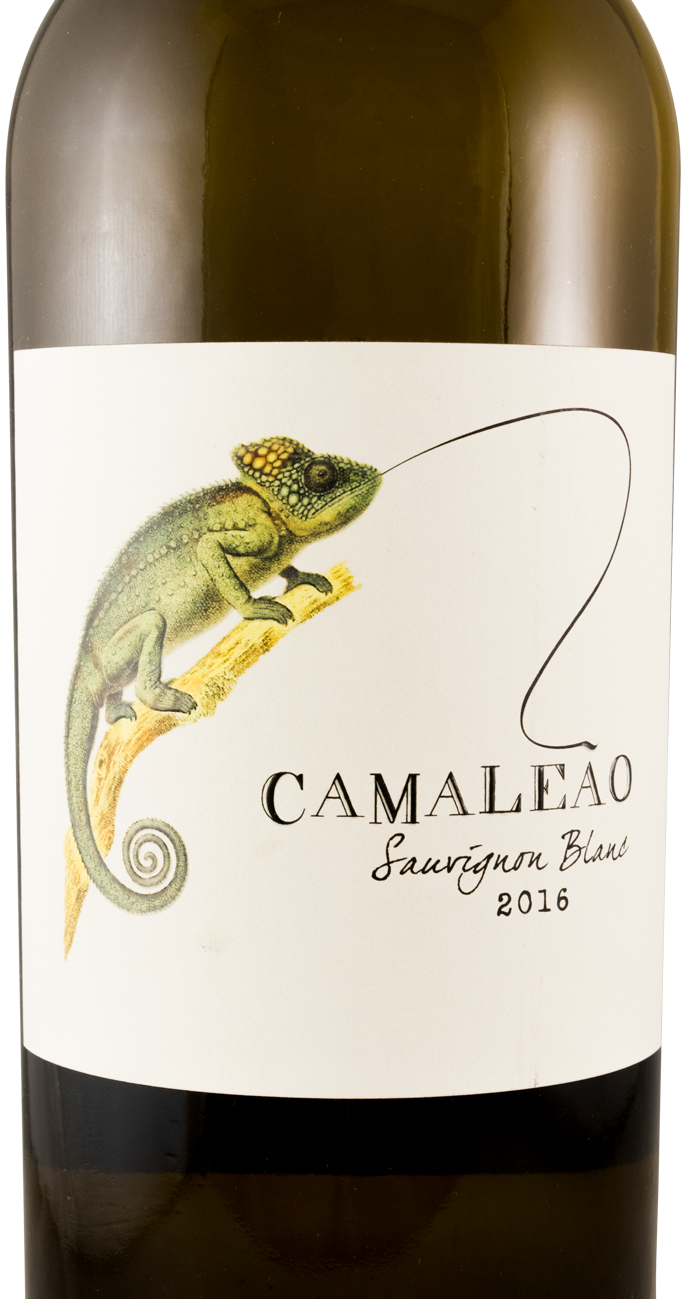 2016 Camaleão Sauvignon Blanc white
