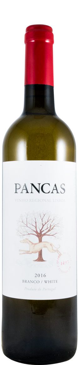 2016 Pancas branco