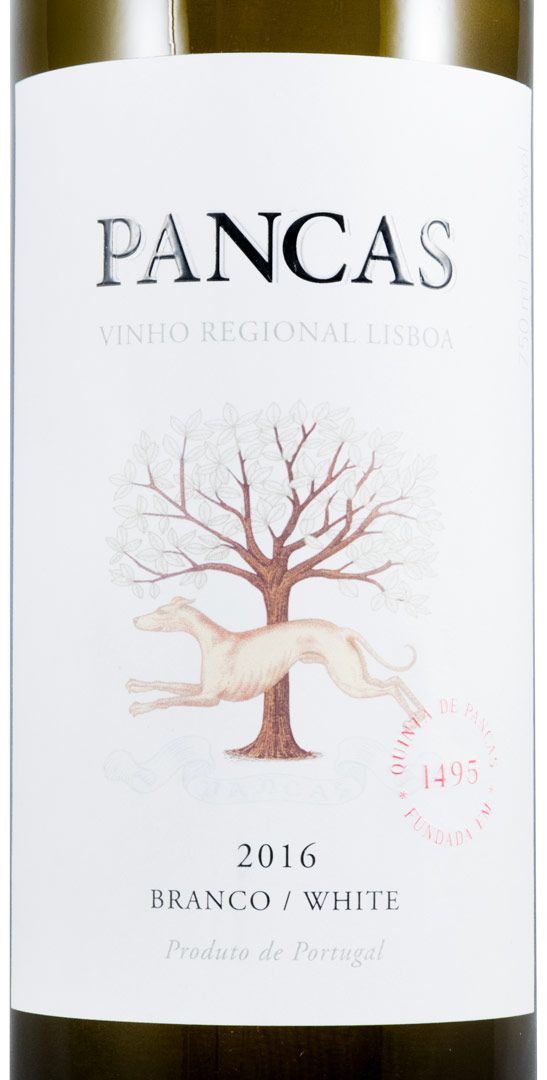 2016 Pancas branco