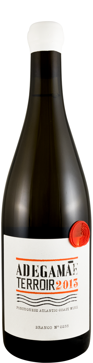 2013 Adega Mãe Terroir white