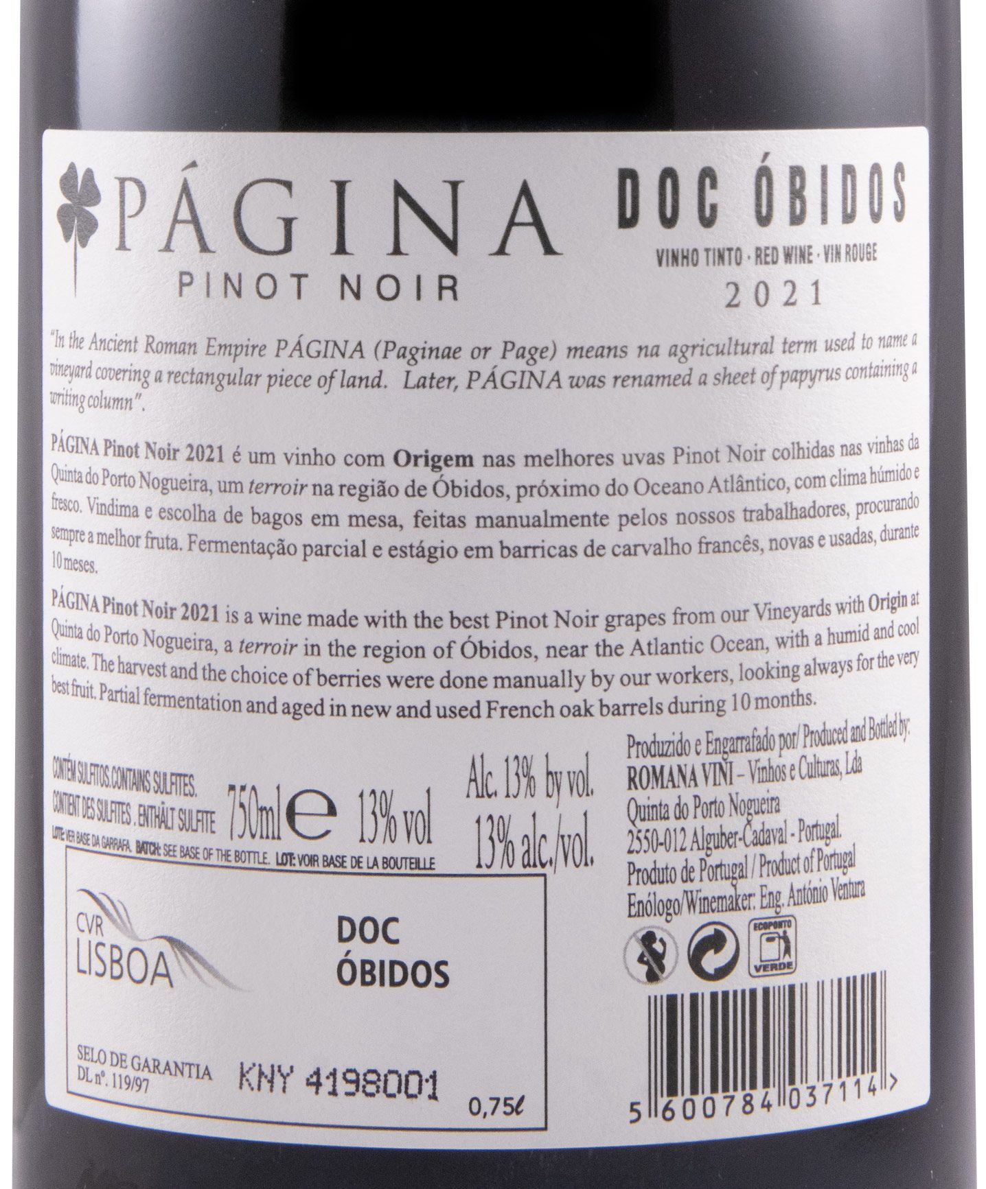 2021 Página Pinot Noir tinto