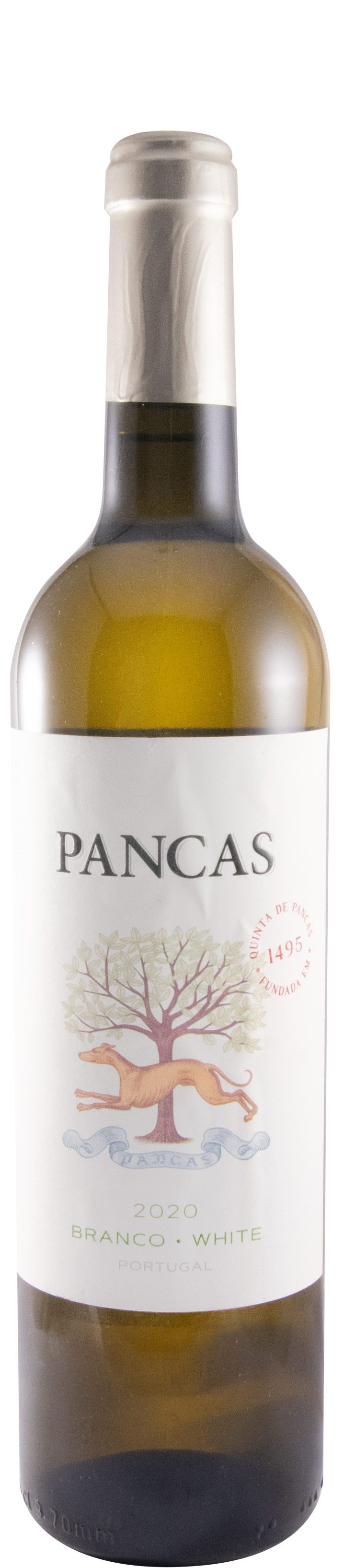 2020 Pancas branco