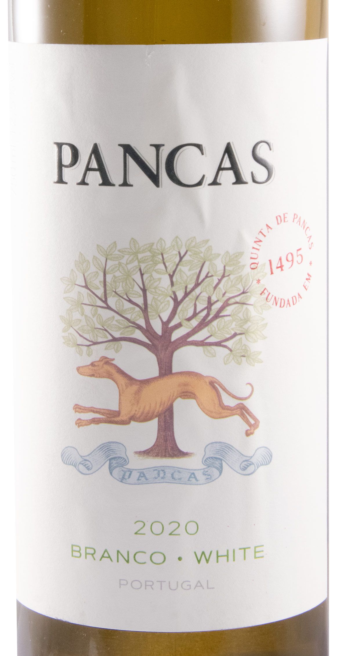 2020 Pancas branco