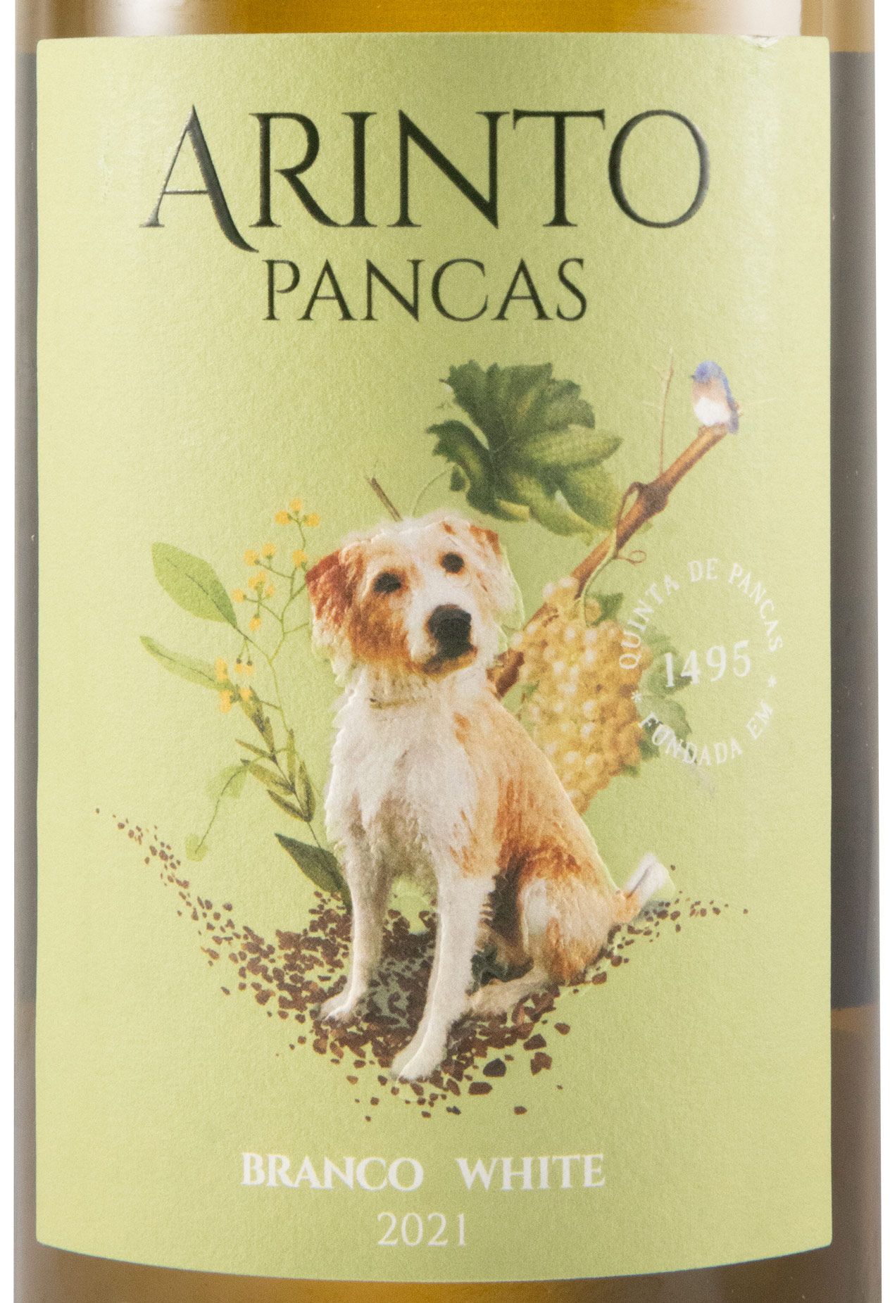 2021 Quinta de Pancas Arinto branco