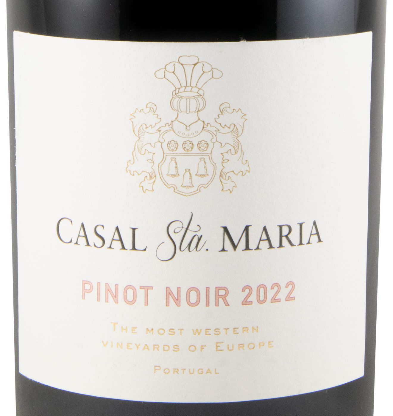 2022 Casal Sta. Maria Pinot Noir tinto