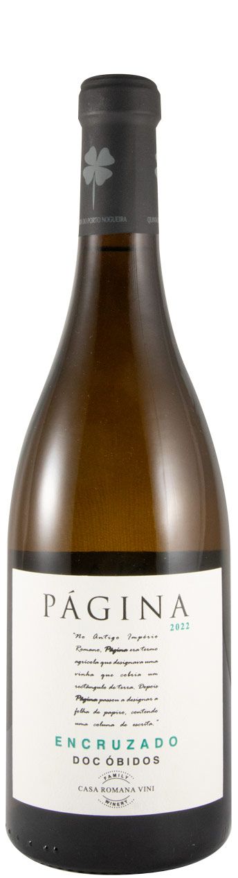 2022 Página Encruzado white