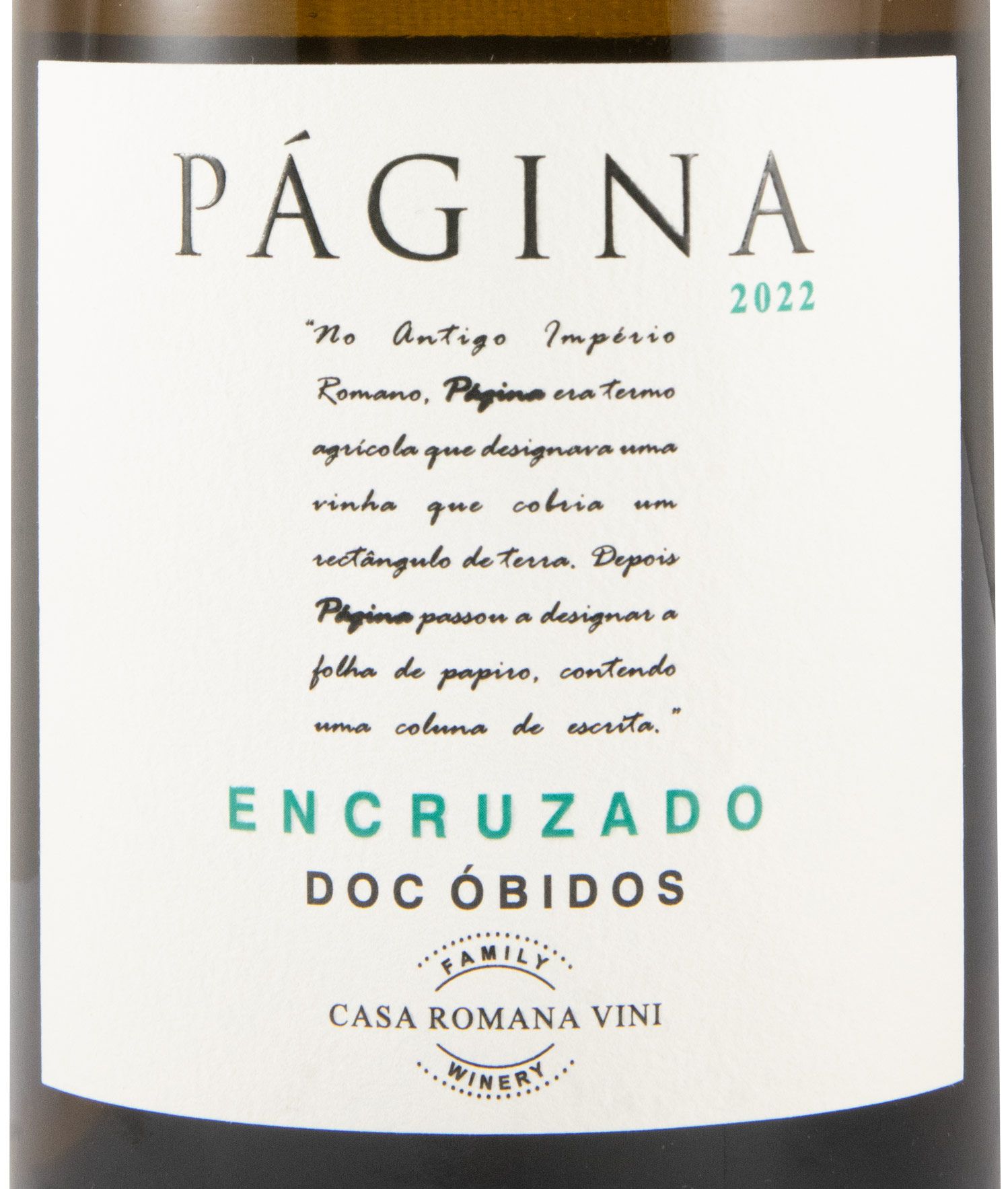 2022 Página Encruzado white