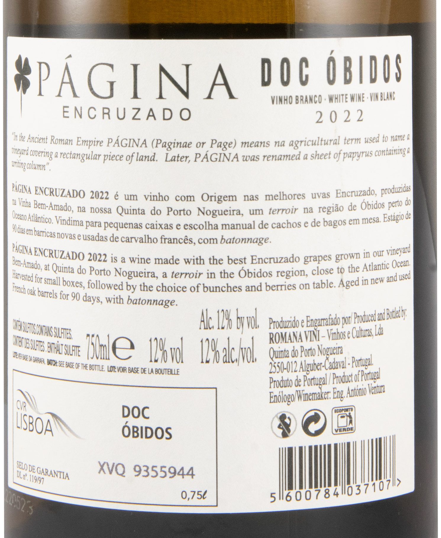 2022 Página Encruzado white