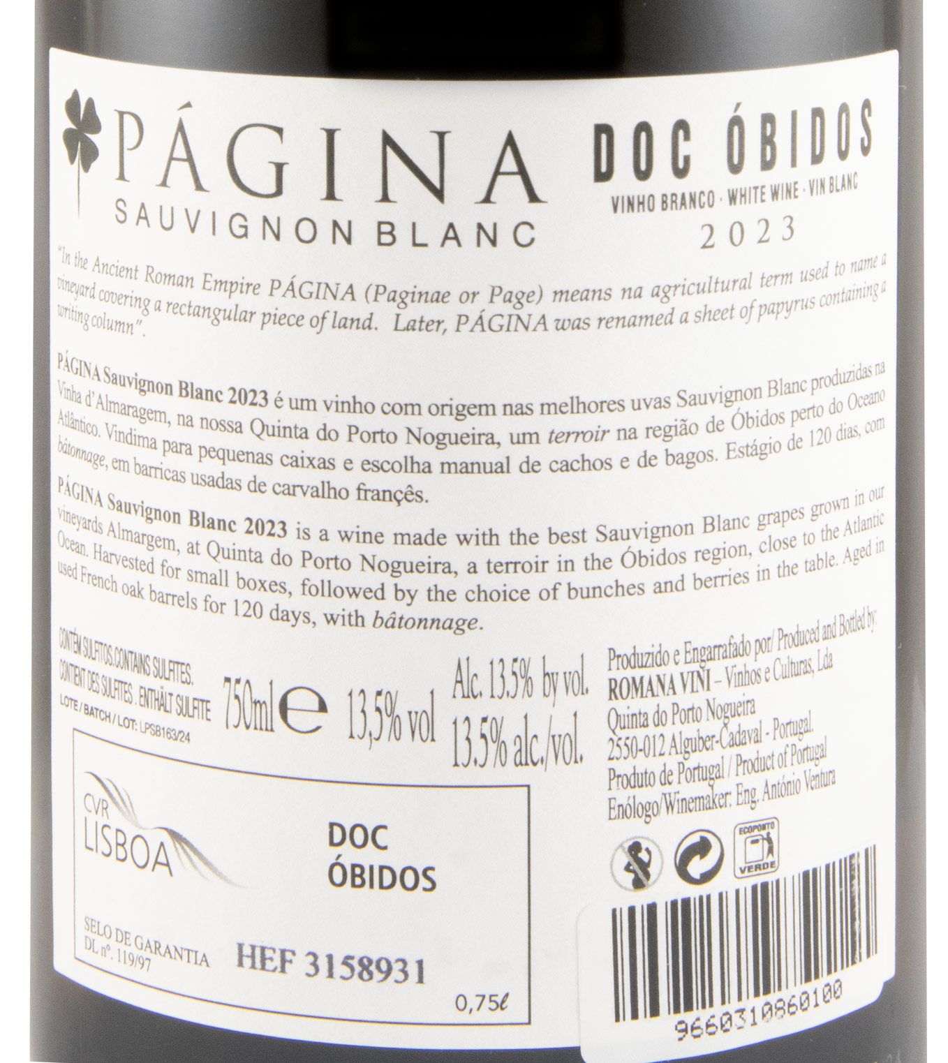 2023 Página Sauvignon Blanc branco
