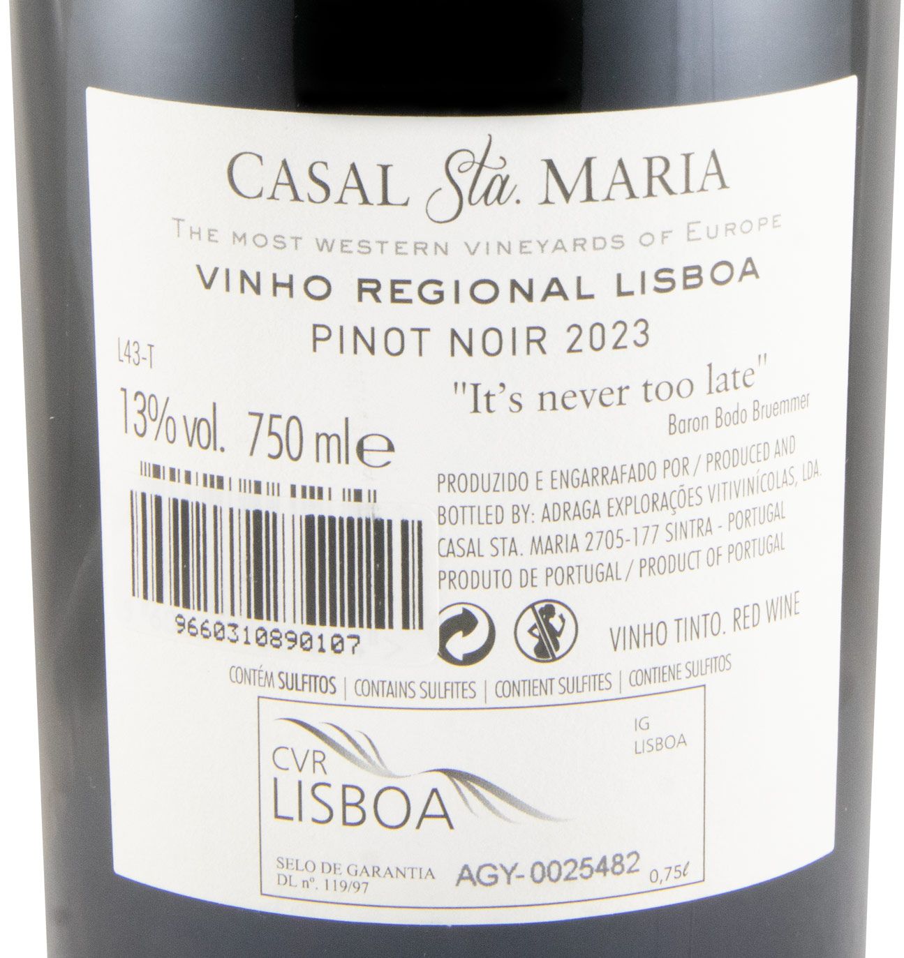 2023 Casal Sta. Maria Pinot Noir tinto