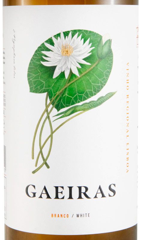 2024 Gaeiras branco