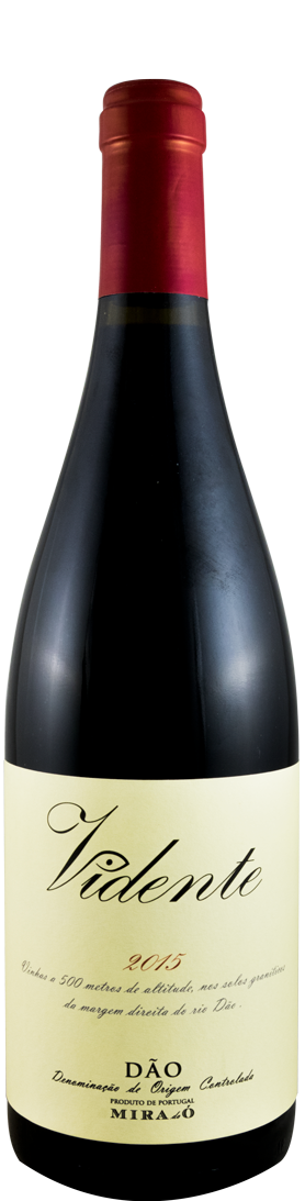 2015 Vidente red