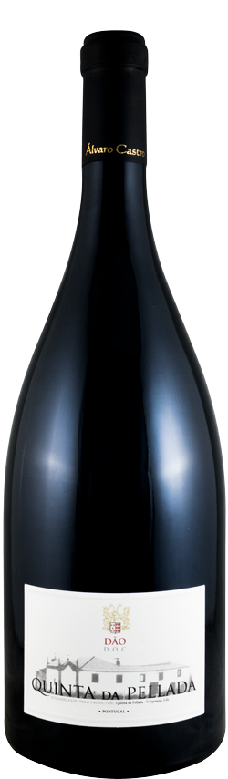 2012 Quinta da Pellada tinto 1,5L