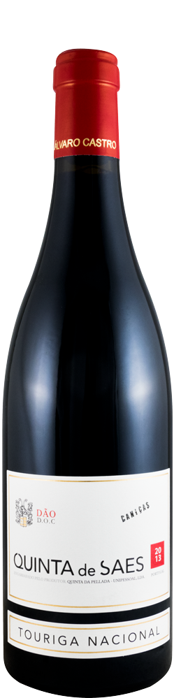 2013 Quinta de Saes Caniças tinto