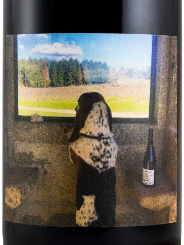 2016 Quinta de Saes Tobias red
