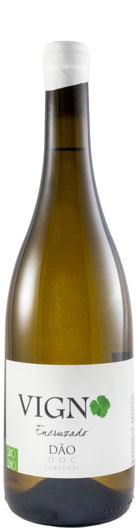 2020 Freire Lobo Vigno Encruzado white