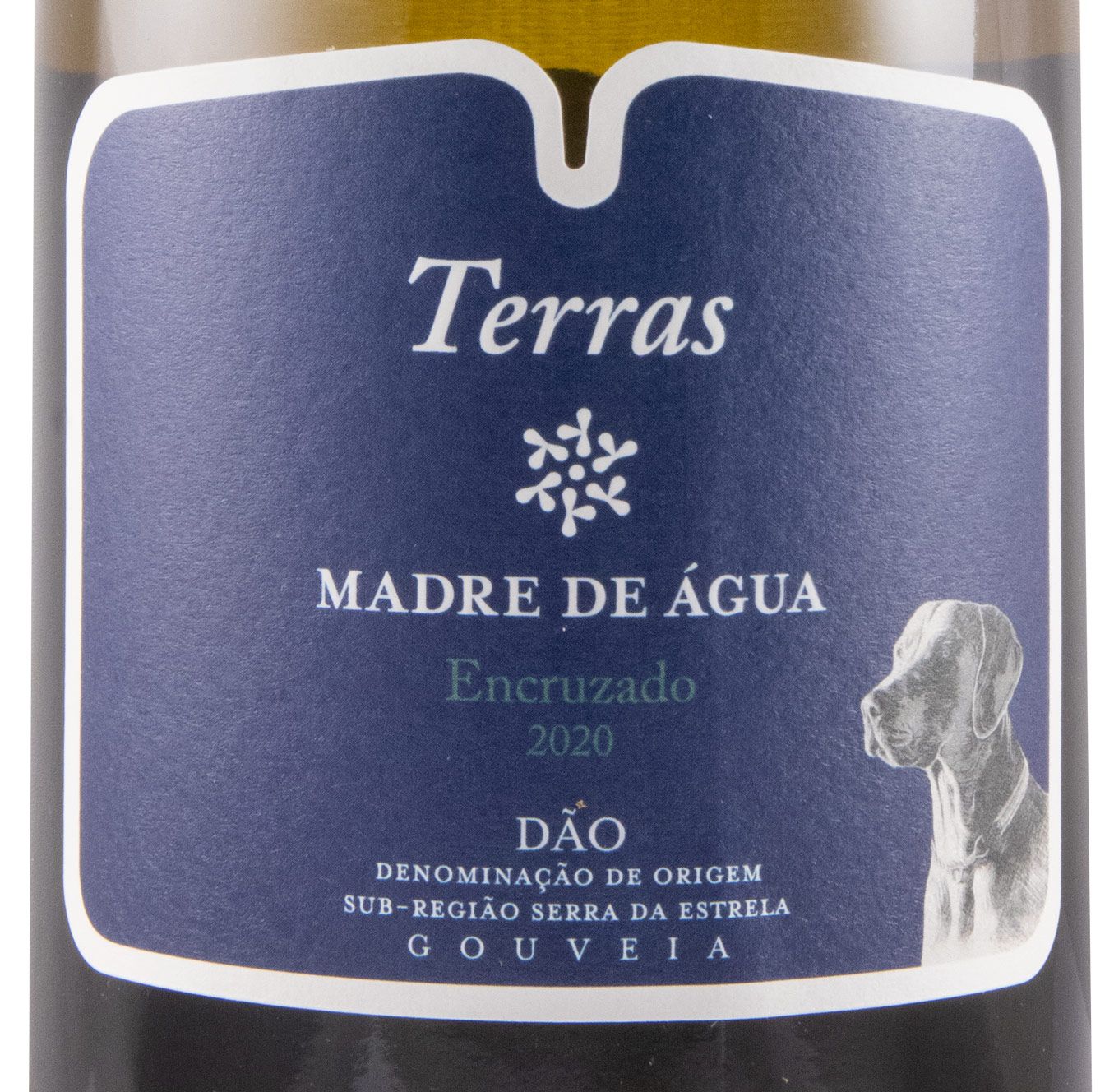 2020 Madre de Água Terras Encruzado white