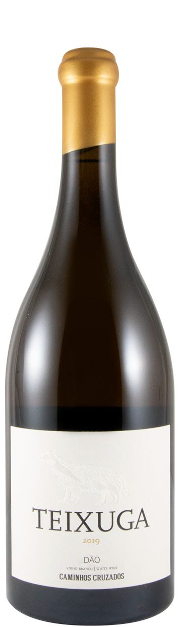 2019 Teixuga white