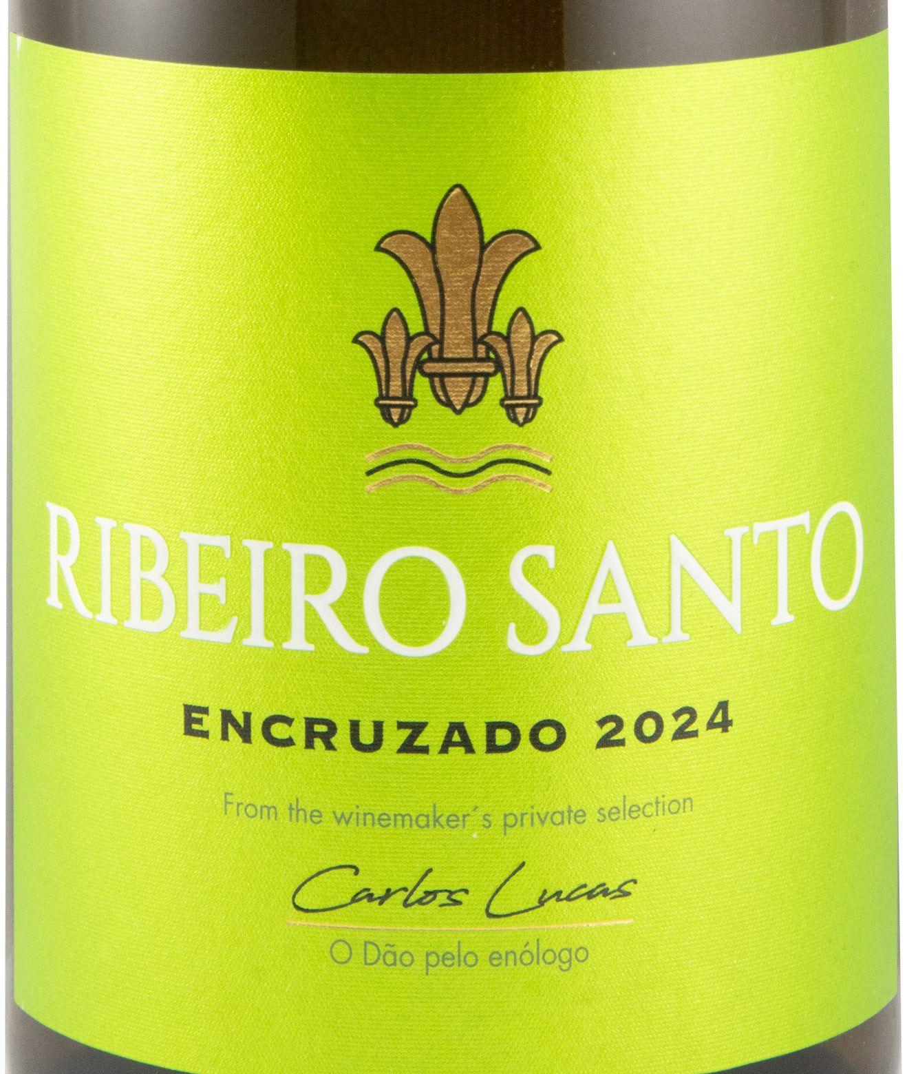 2024 Ribeiro Santo Encruzado branco