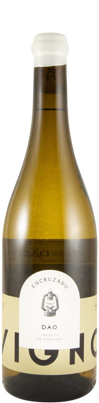 2024 Freire Lobo Vigno Encruzado white