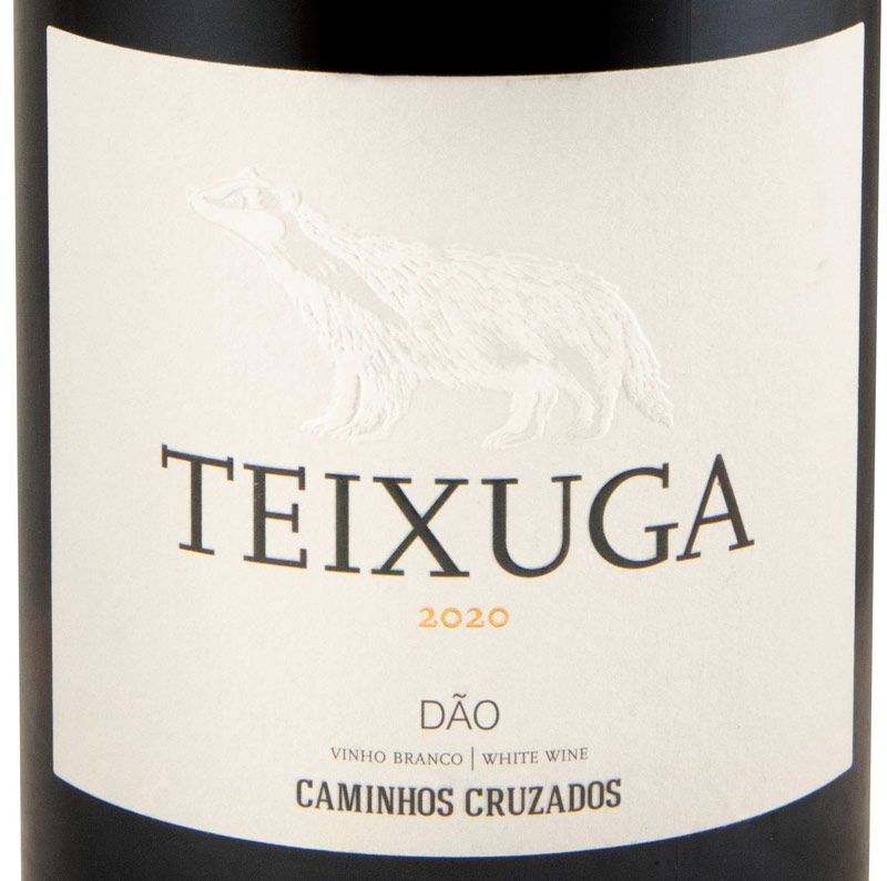 2020 Teixuga white