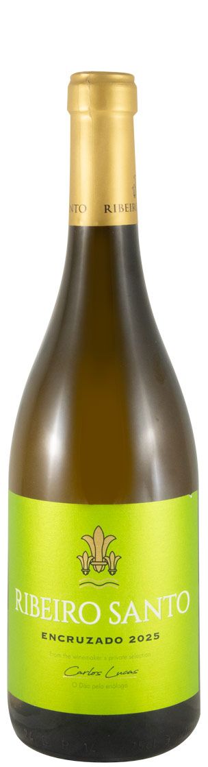 2025 Ribeiro Santo Encruzado branco
