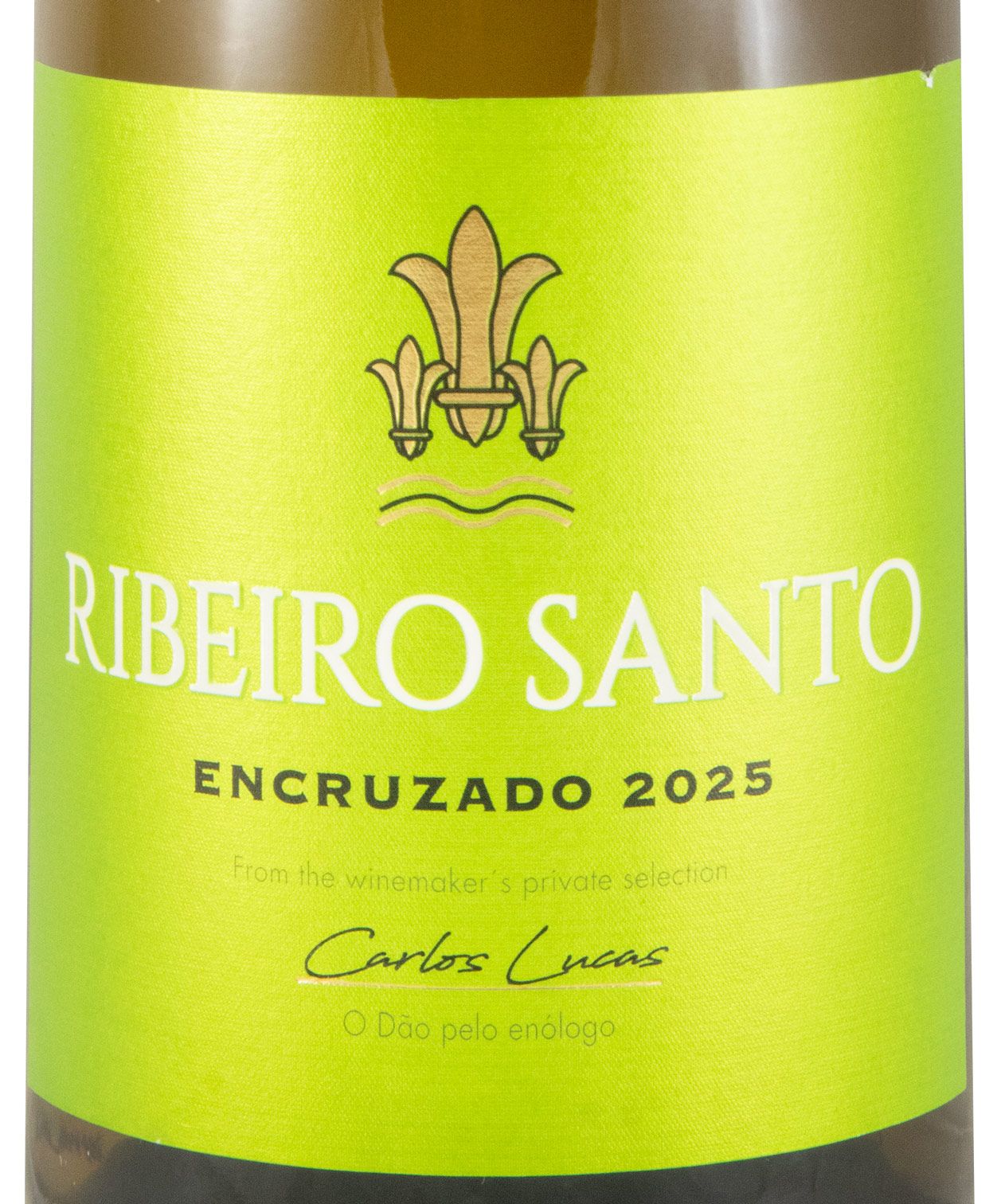 2025 Ribeiro Santo Encruzado branco