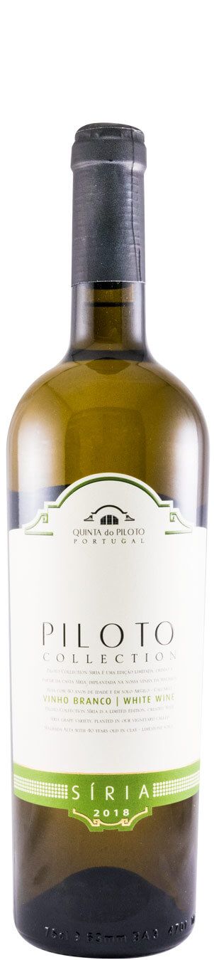 2018 Piloto Collection Síria branco