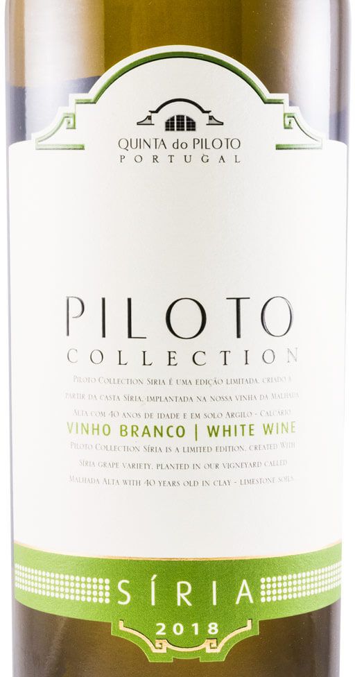 2018 Piloto Collection Síria branco