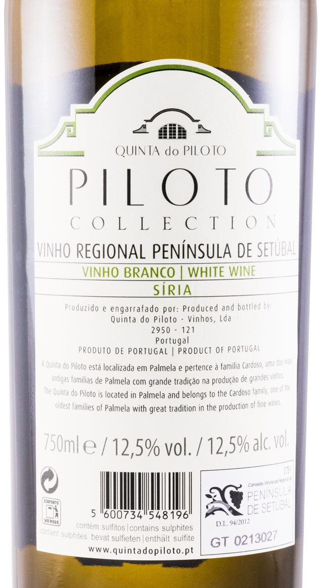 2018 Piloto Collection Síria branco