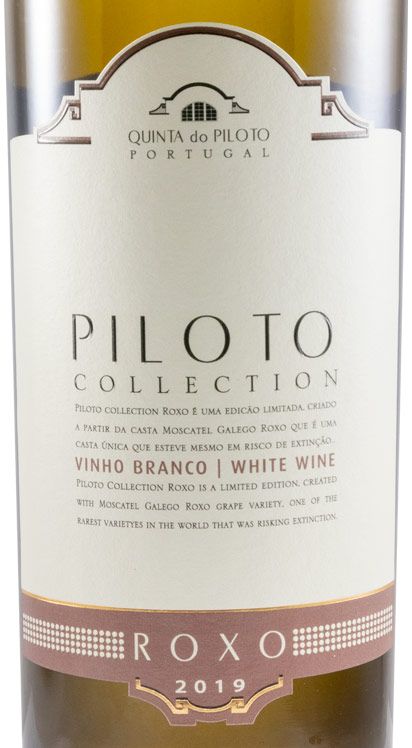 2019 Piloto Collection Roxo branco