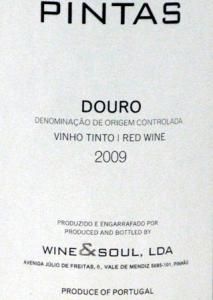 2009 Pintas red