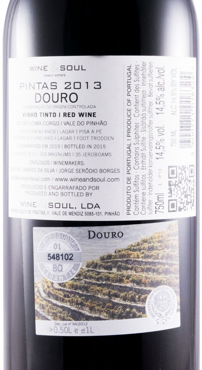 2013 Pintas tinto